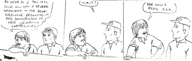 on graphic enabled browsers, the image /km/km/comics/km20060419.jpg would be displayed here