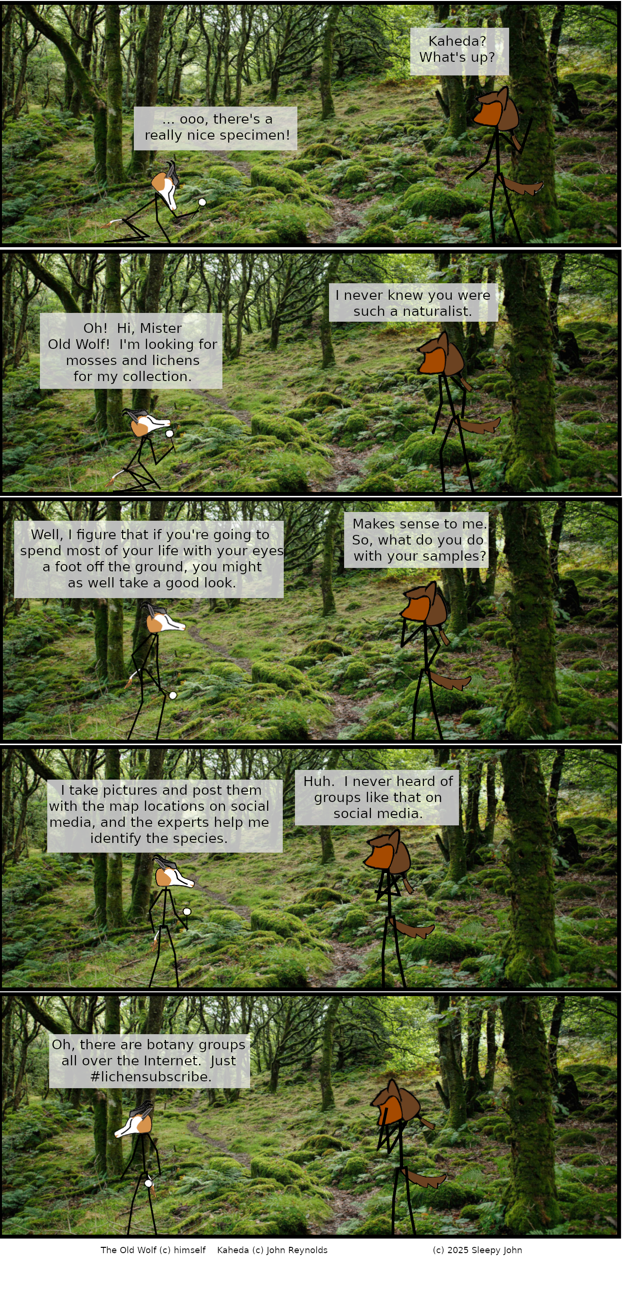 on graphic enabled browsers, the image http://www.hirezfox.com/neoctc/comics/nc20250618.png would be displayed here