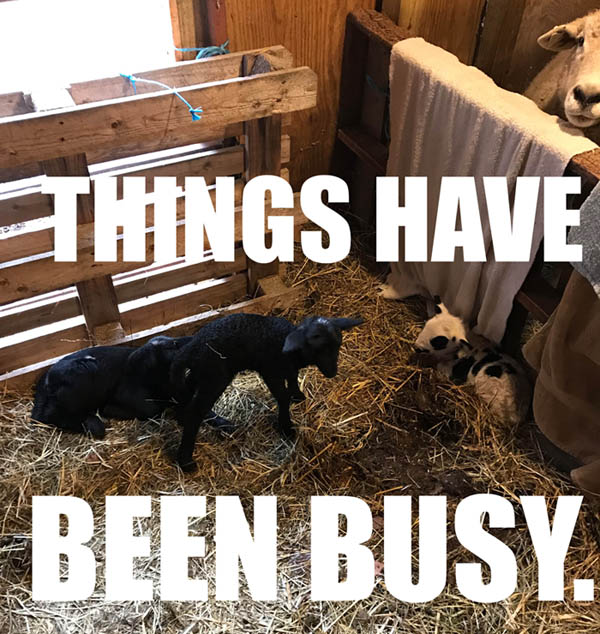 on graphic enabled browsers, the image /km/co/co1024/comics/co20251210.jpg would be displayed here