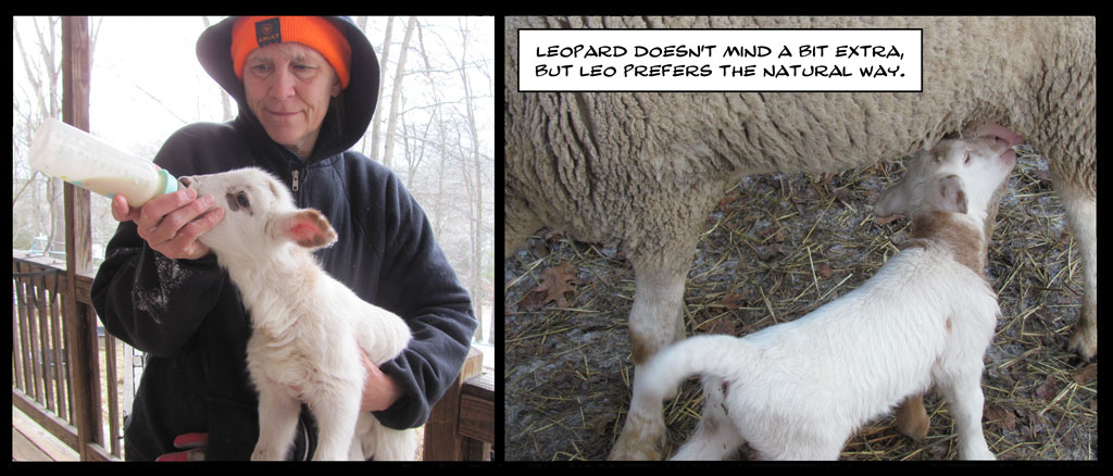 on graphic enabled browsers, the image /km/co/co1024/comics/co20251217L.jpg would be displayed here