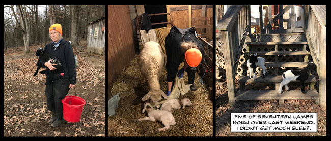 on graphic enabled browsers, the image /km/co/comics/co20251212.jpg would be displayed here